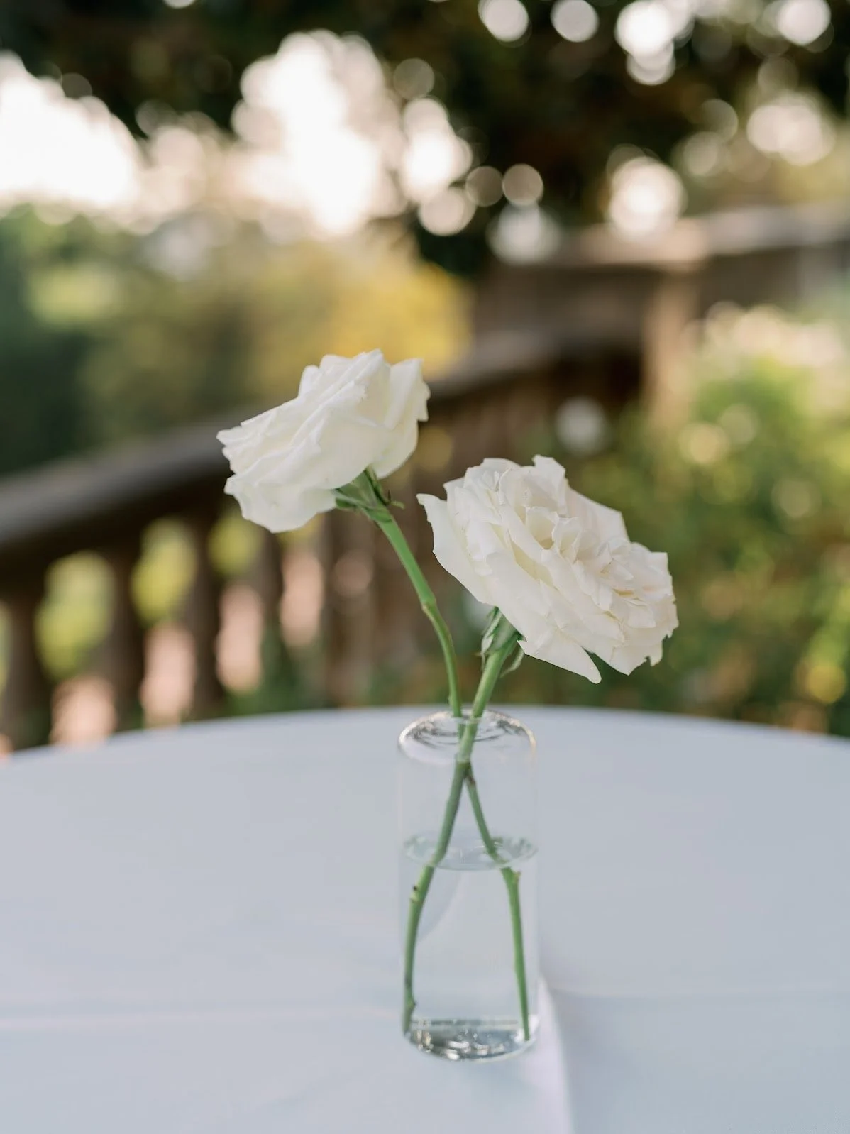 Samantha  Price Jarman-Liz Andolina Photography-0802.jpg