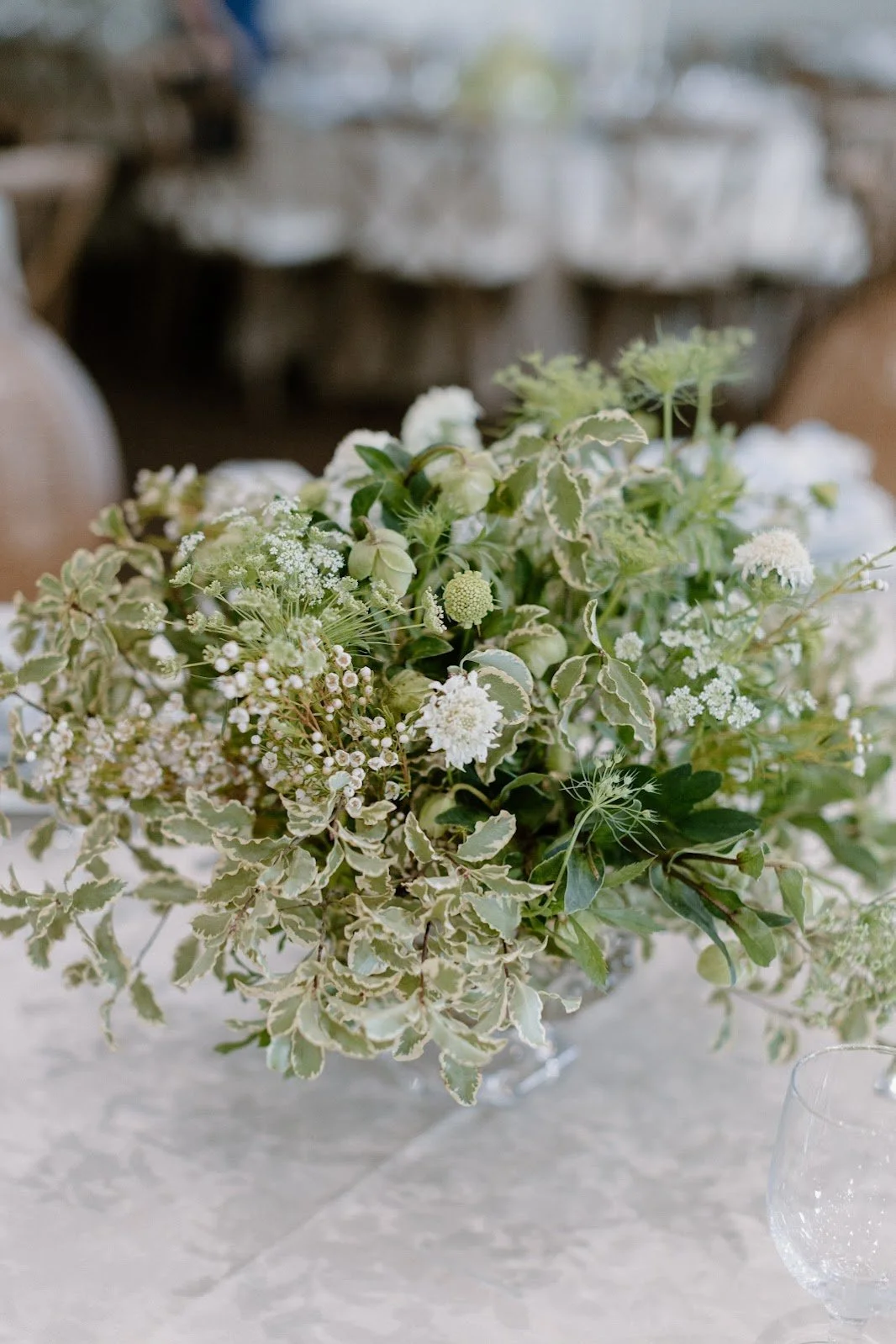Zburlea-Wedding-2332.jpg