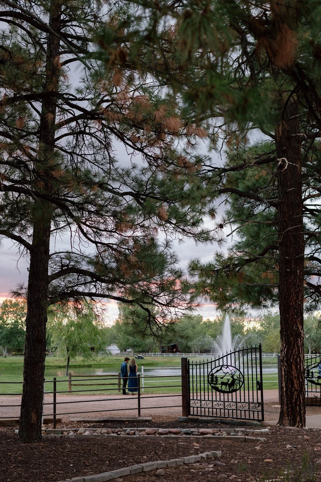 TudurWedding-2538.jpg