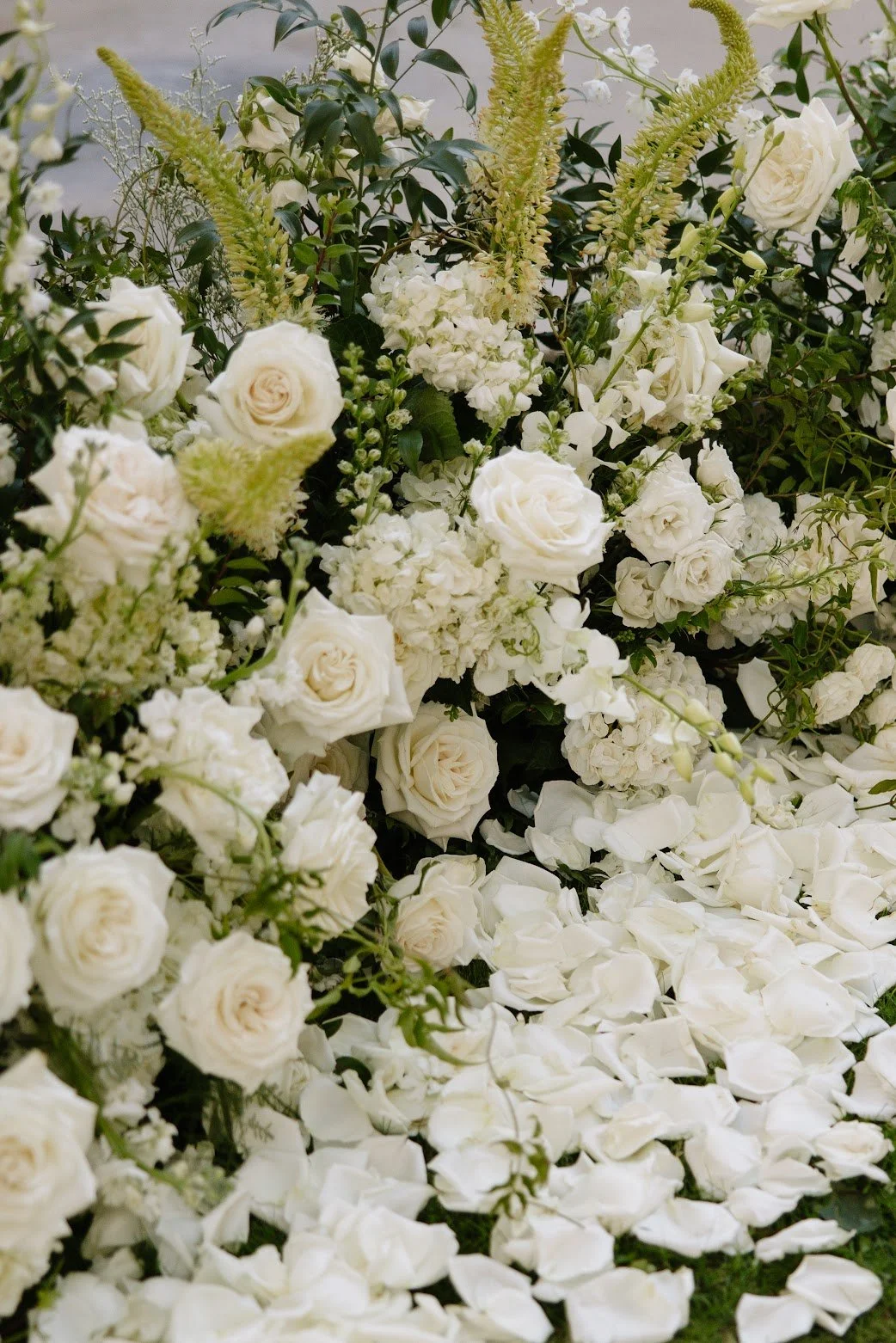 493A9146.jpg