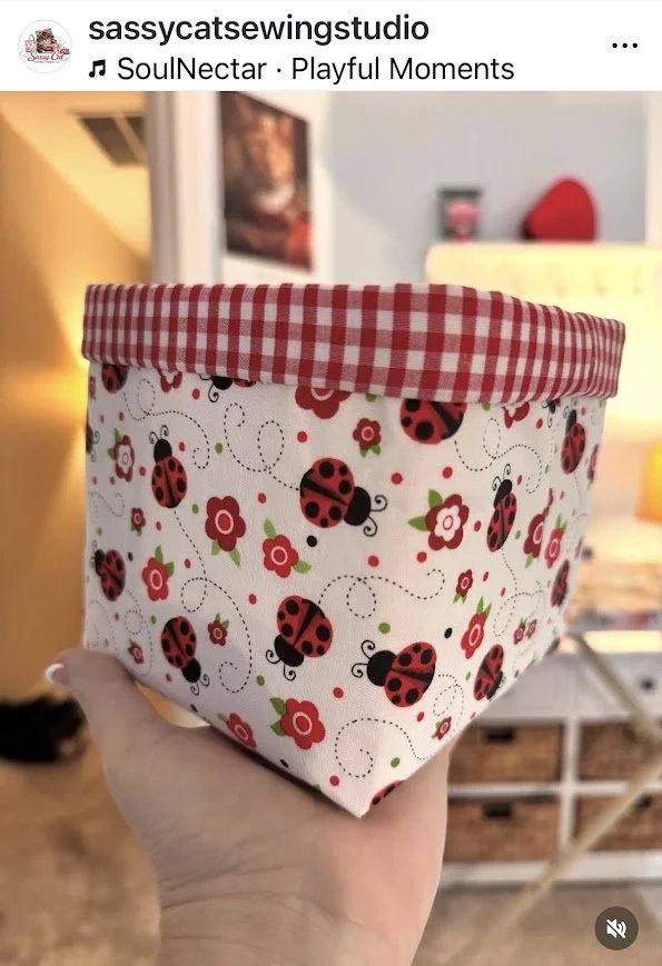 A hand holding a decorative box with ladybug and floral patterns, topped with red and white checkered fabric, in a home setting.
