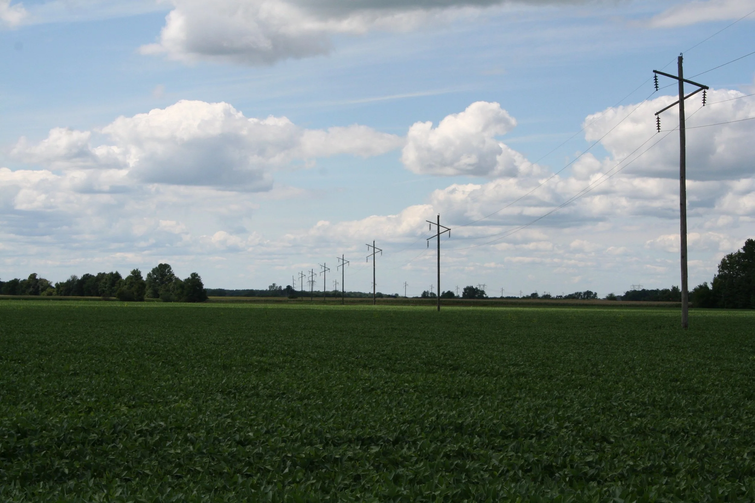 Row of utility poles stretching across a flat green farm field under a partly cloudy sky