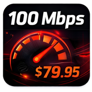 Graphic showing internet speed of 100 Mbps and price of $79.95.