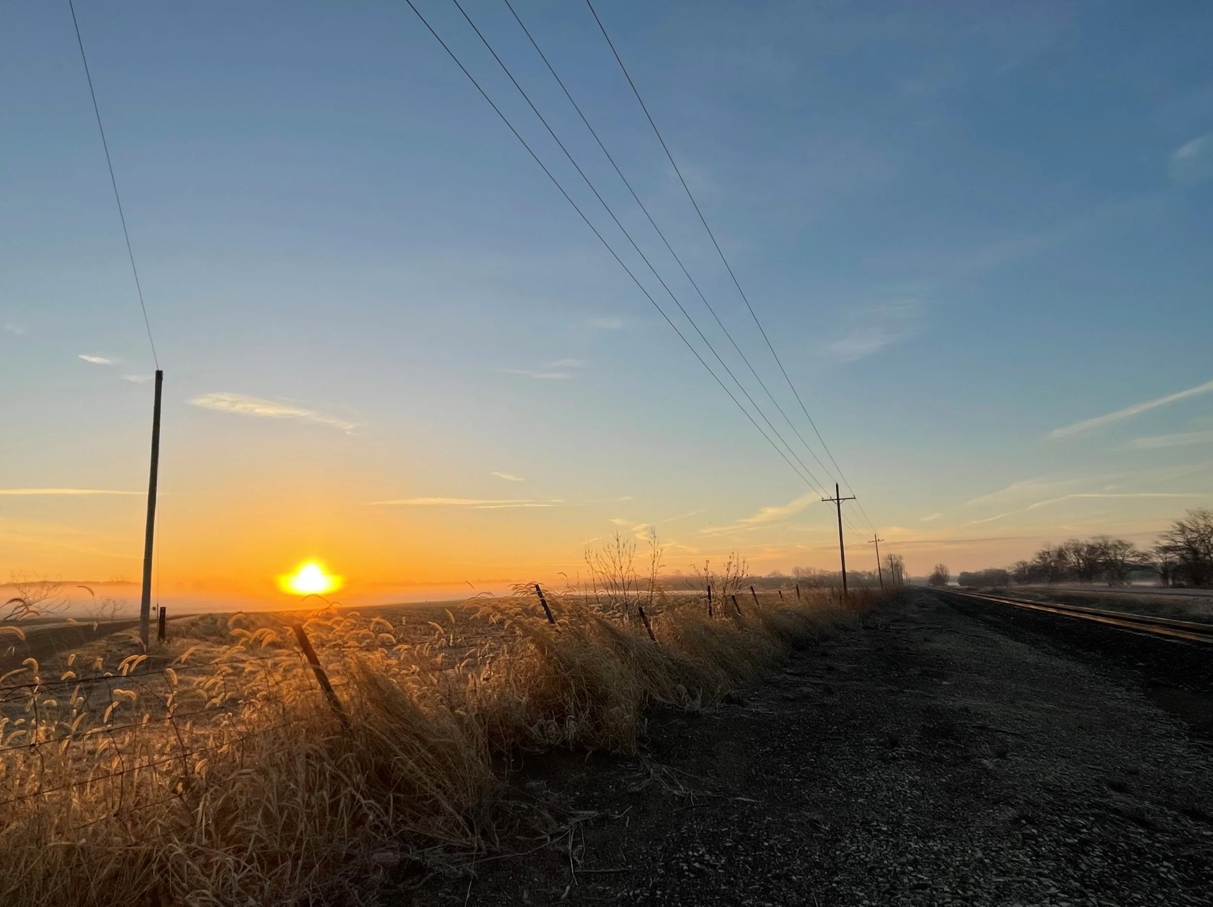 Golden sunset over a rural Indiana field with tall grasses and wildflowers