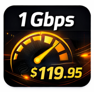 Graphic showing internet speed of 1 Gbps and price of $119.95.