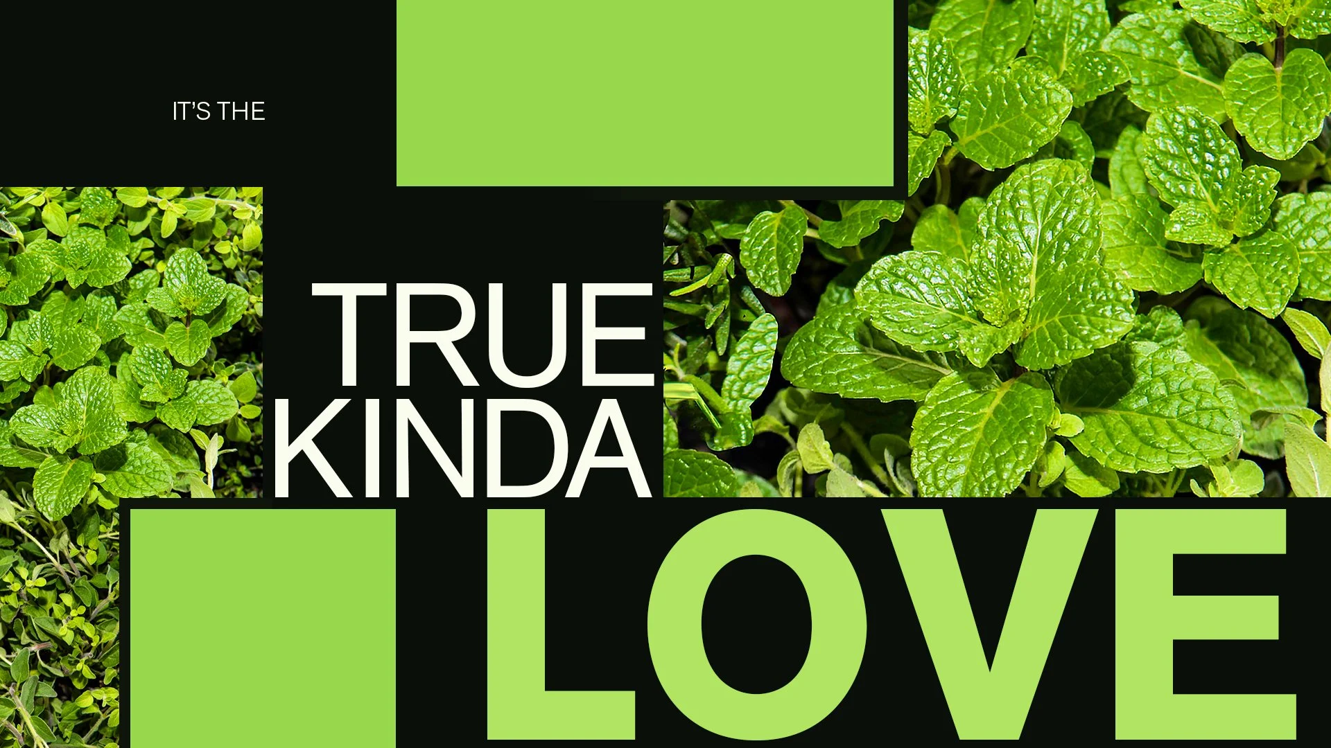 Green mint leaves with a black and green graphic overlay reading "It's the true kinda love".