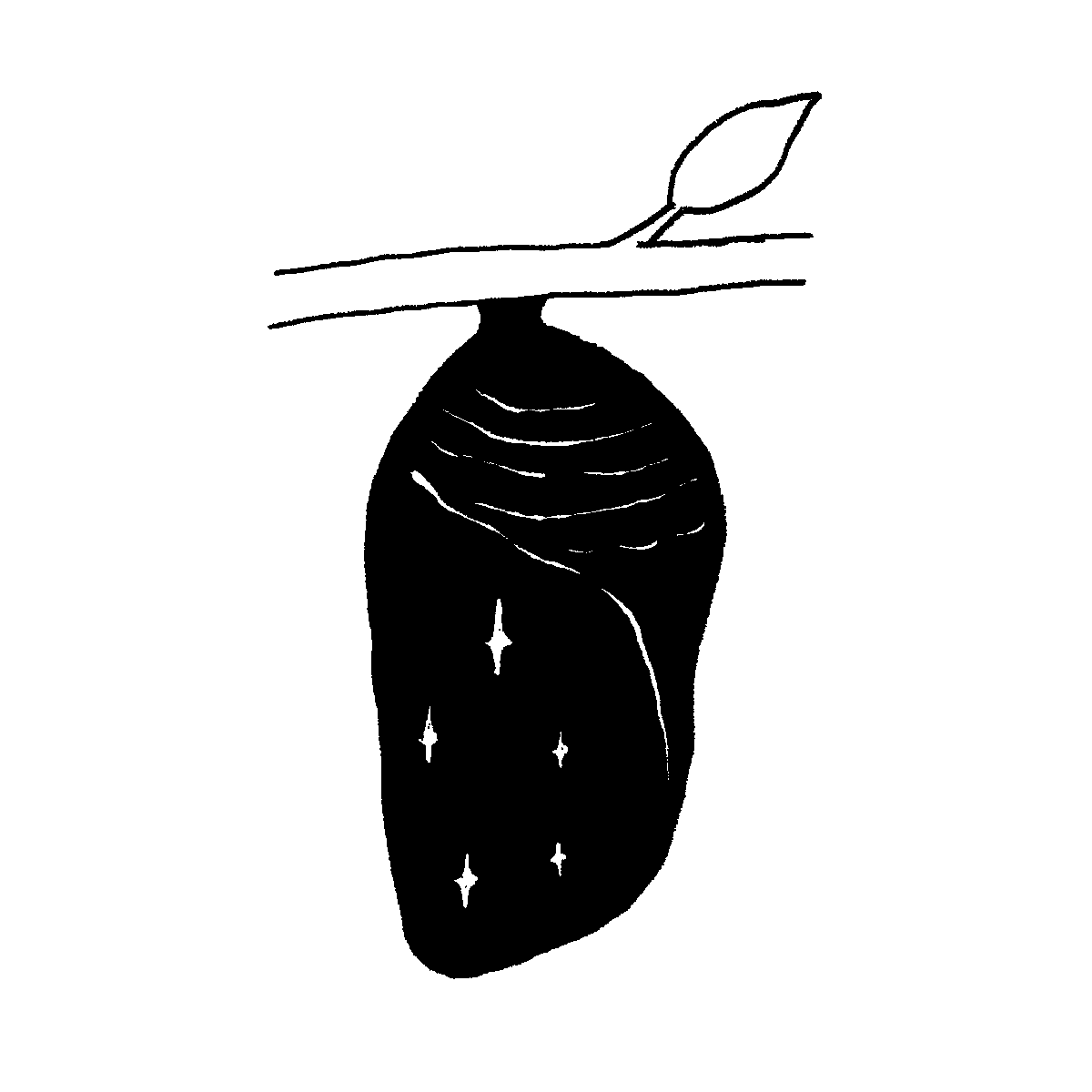 Trooper Creative is a design studio and branding agency specializing in brand strategy, brand identity, logo design, typography, packaging design, and visual storytelling. This image showcases Trooper design work for modern brands.