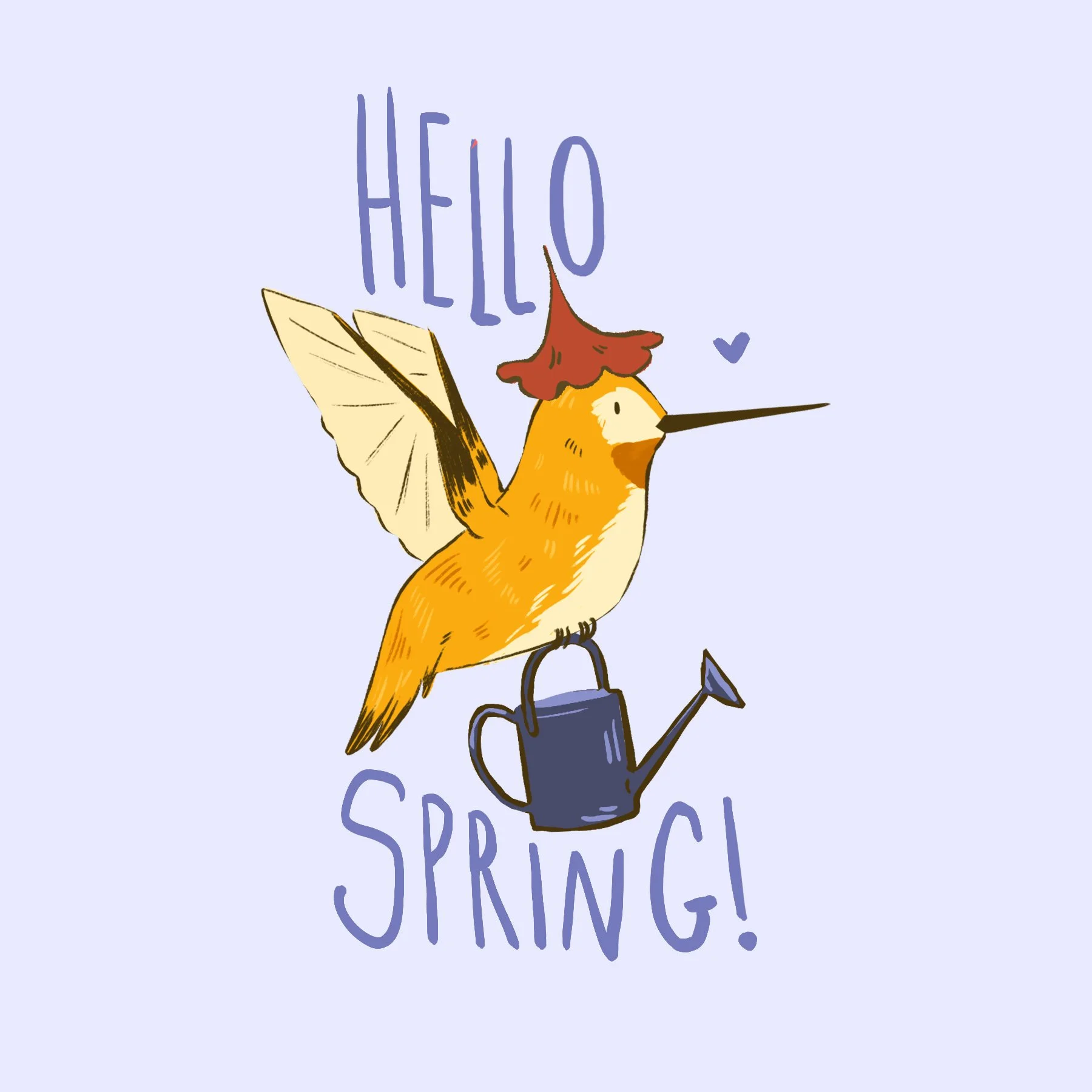 Blue hummingbird.jpg