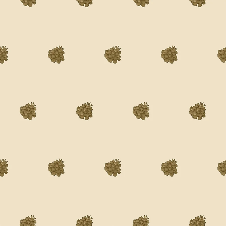 Pinecones.webp