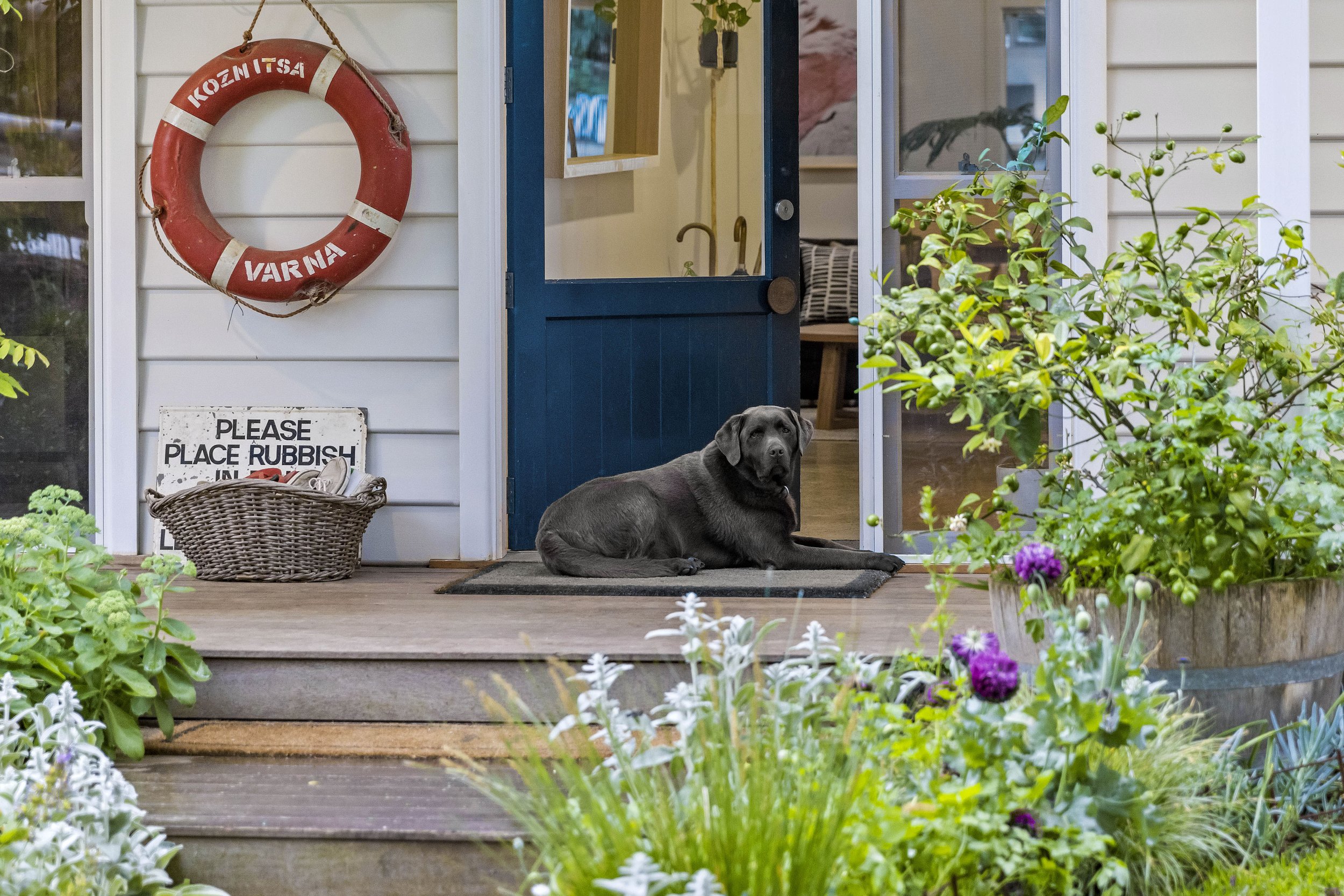 34Carisbrooke (11).jpeg