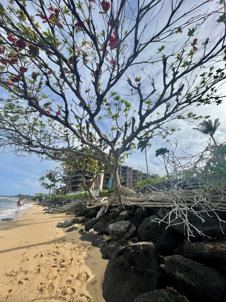 Stick Around and Start Seeing