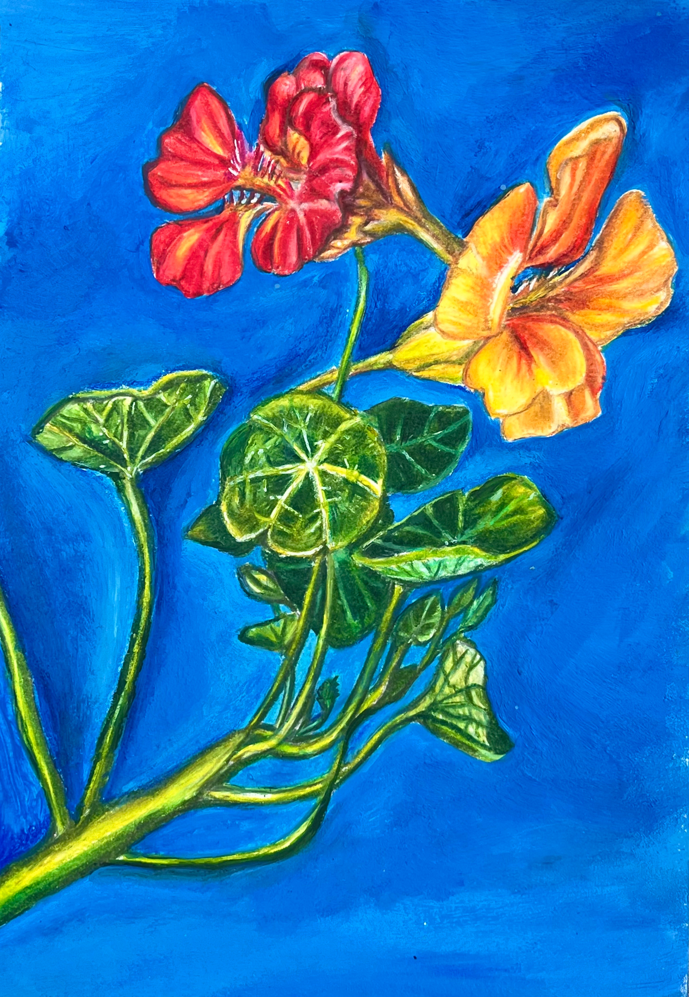 Untitled design (4).png