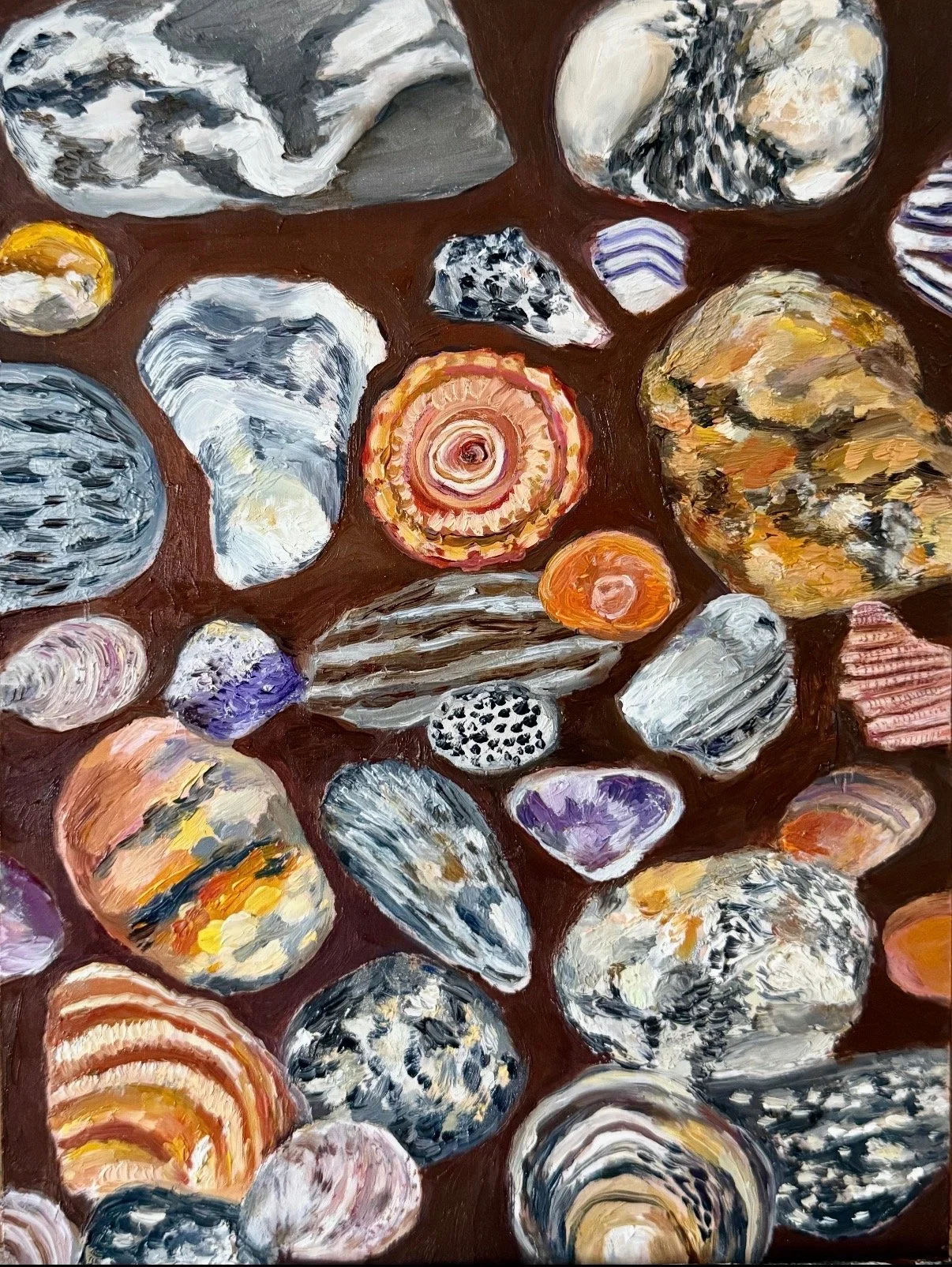 Rocks and Shells