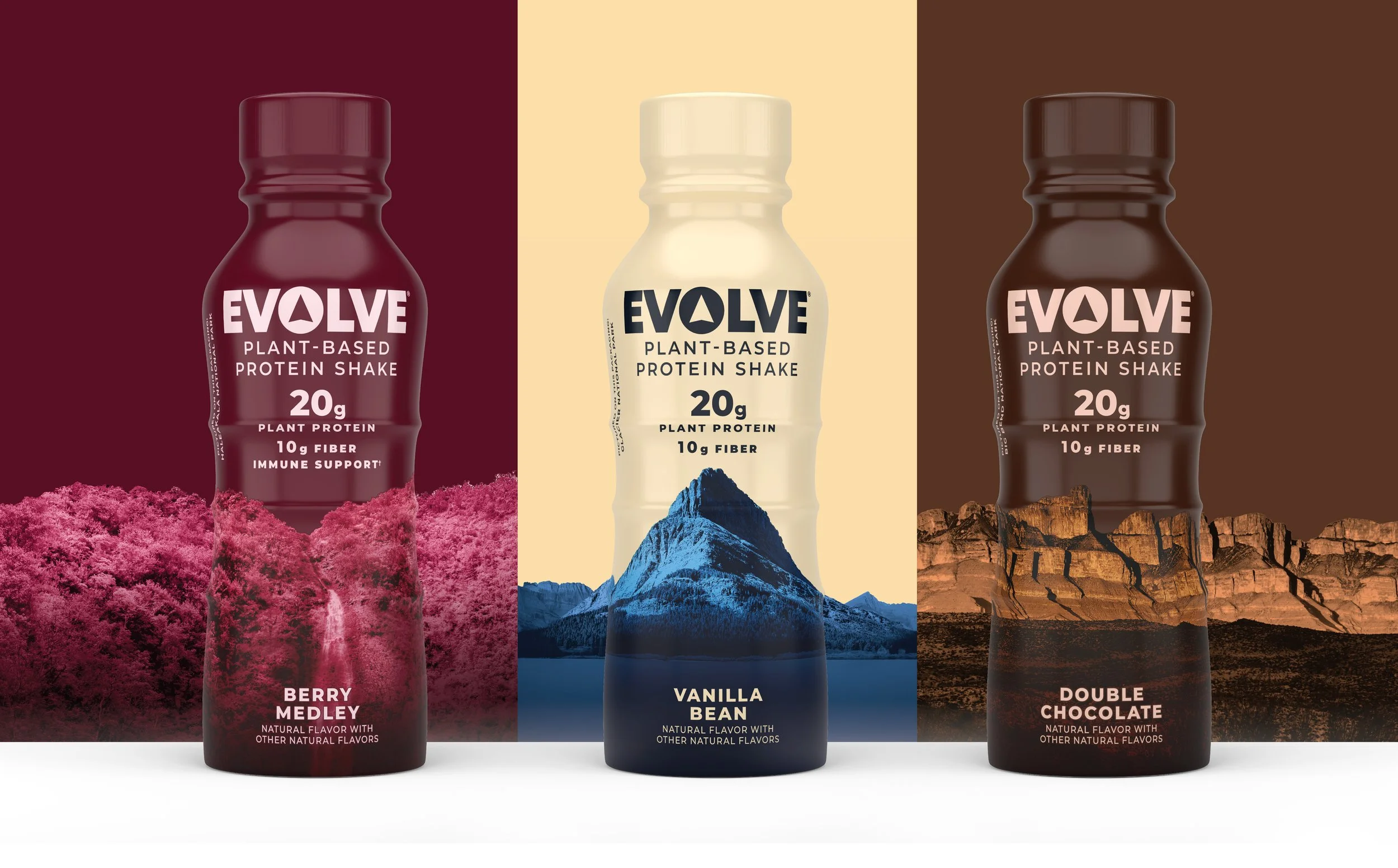 Evolve_PR_images-07.jpg
