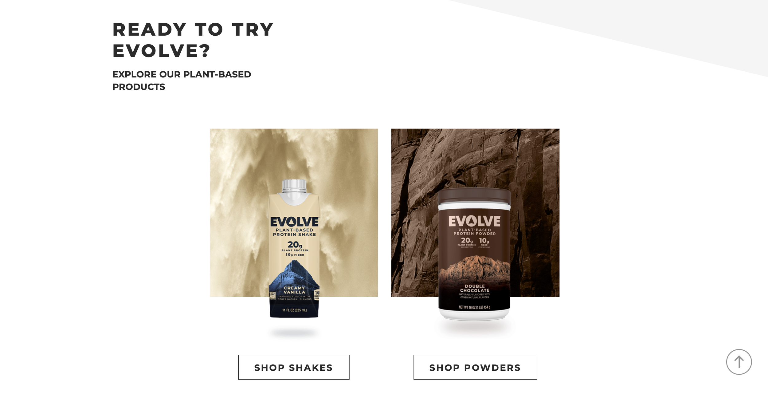 Evolve_Web_2.png