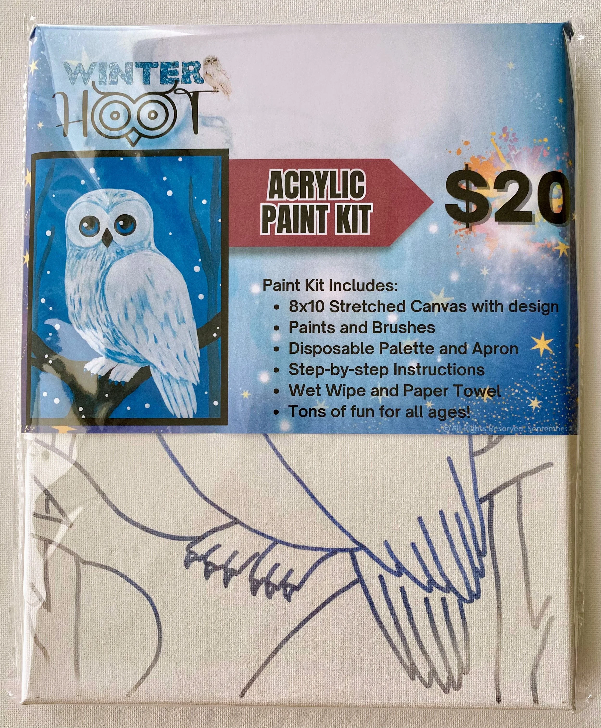 owl_kit.jpg