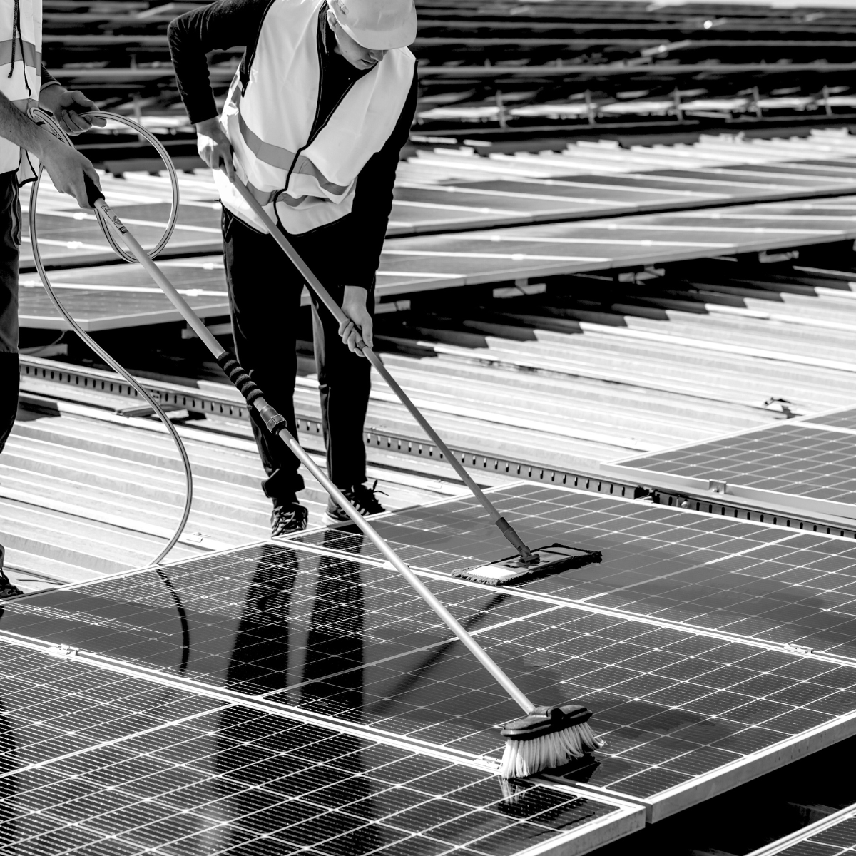 Limpieza de paneles solares