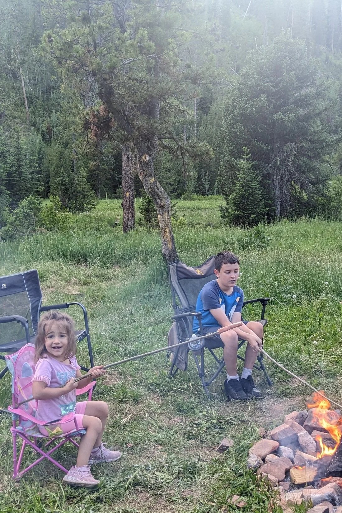 A young girl and boy sitting in outdoor camping chairs by a campfire, roasting marshmallows on sticks in a grassy and wooded area.