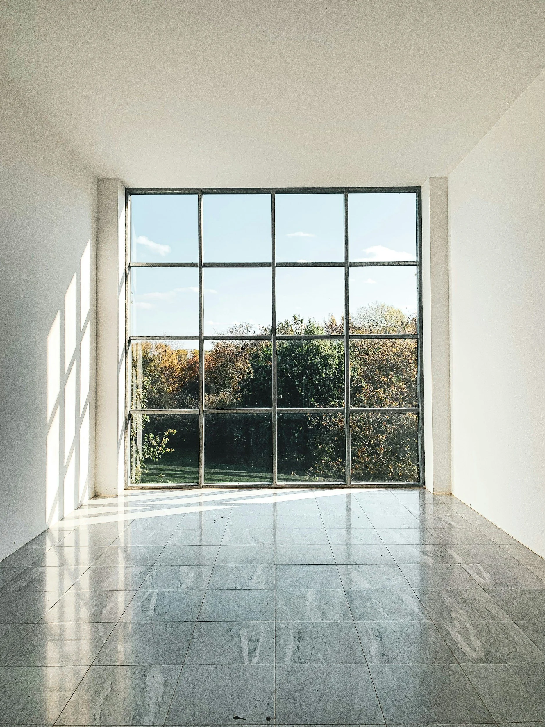Empty room with large window showing trees and sky outside, sunlight casting shadows on the floor.
