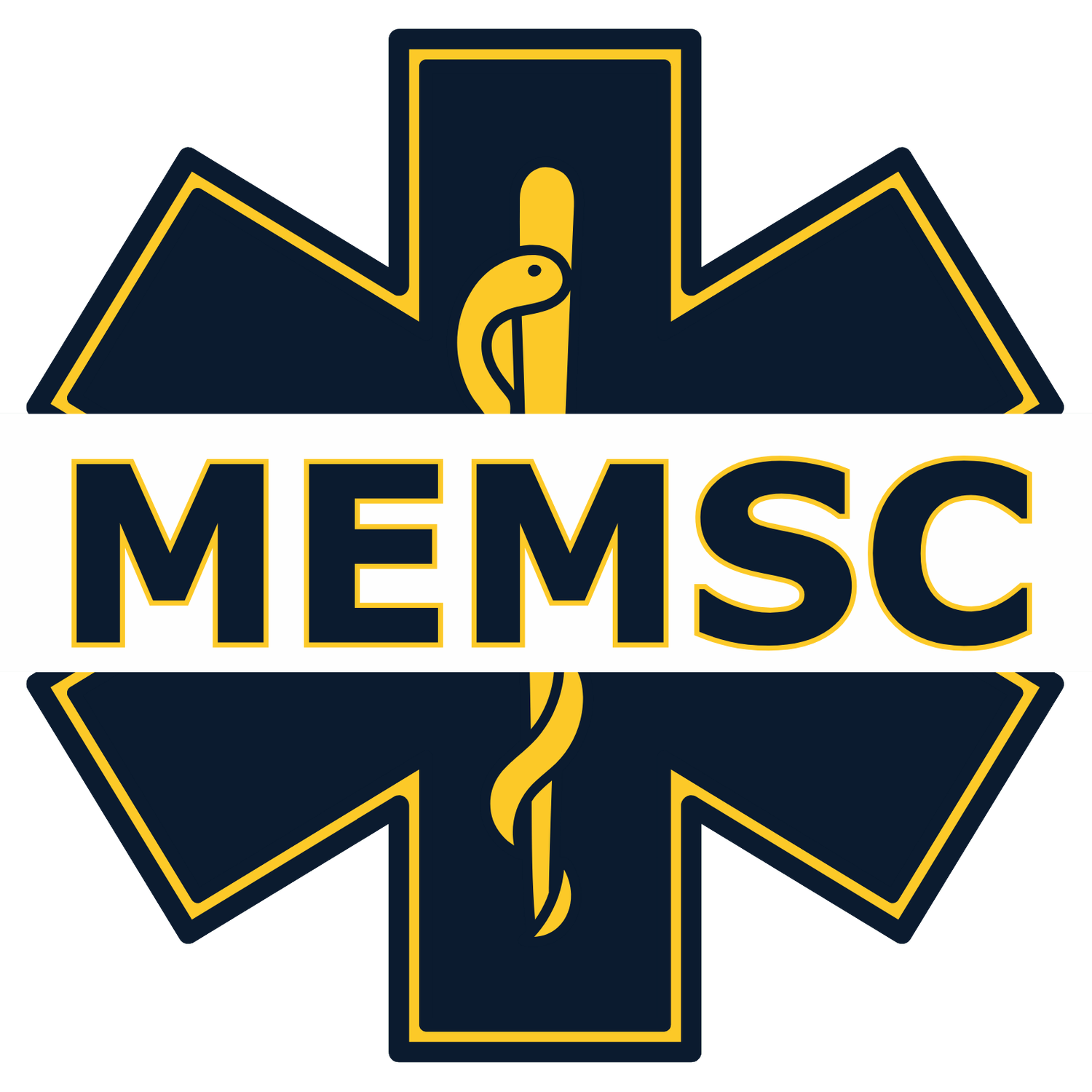 Michigan EMS Club