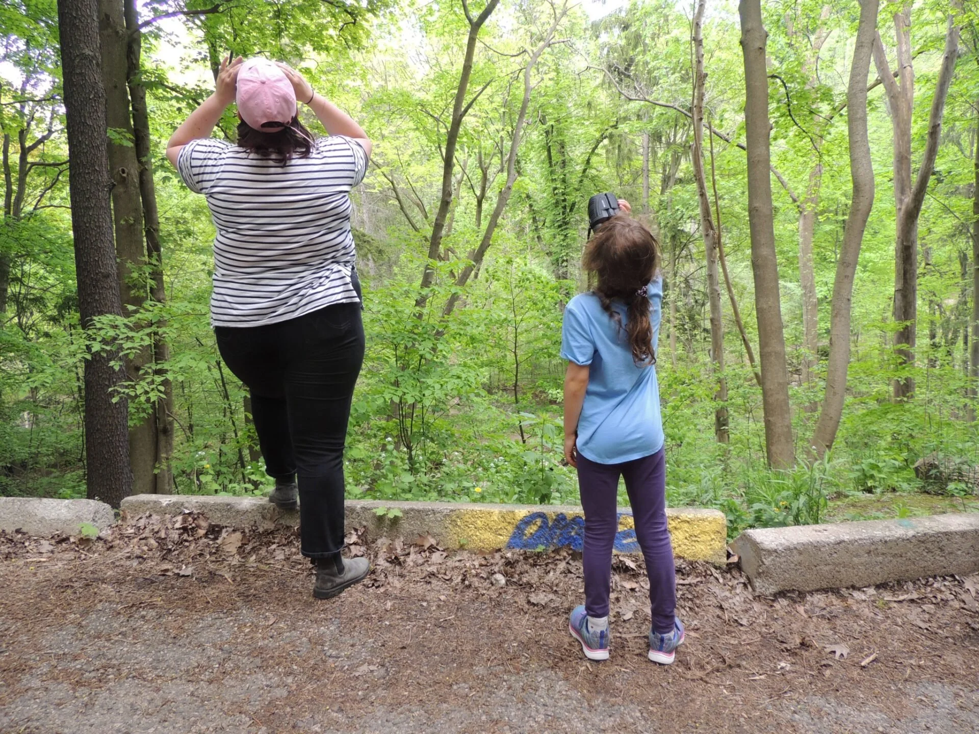 Woman and young girl use binoculars to look out and up into green forest for birds in the wild
