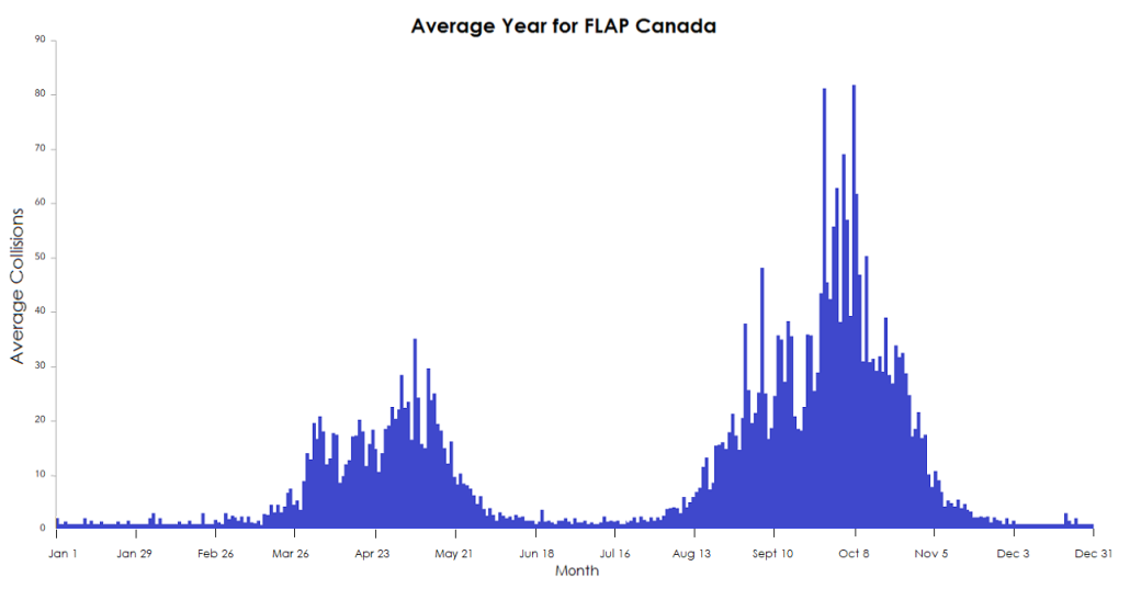 Chart showing the seasonal distribution of GTA bird-building collisions, peaking in Spring and Fall during migration