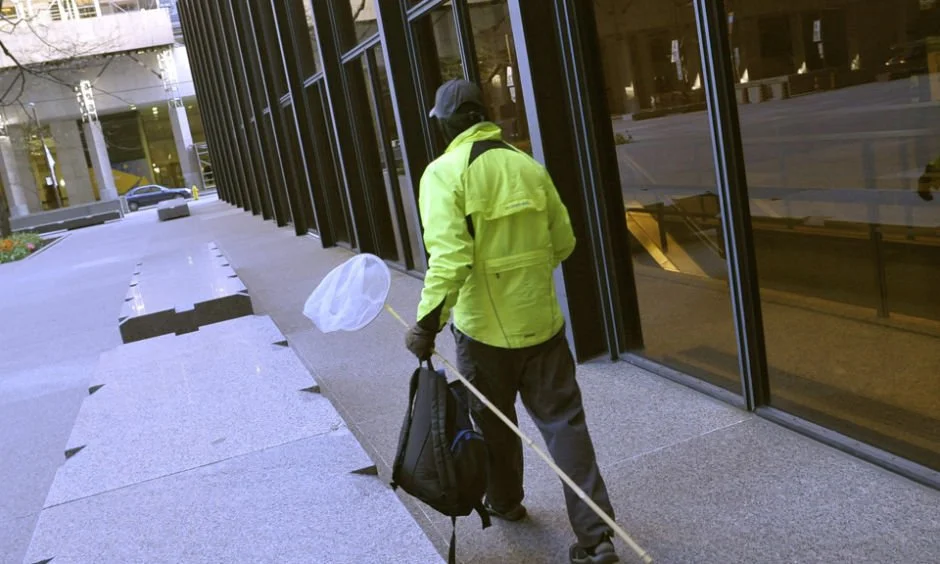 History in the Making: TD Centre Bird-Safe Retrofits a Testament to Our Collective Efforts