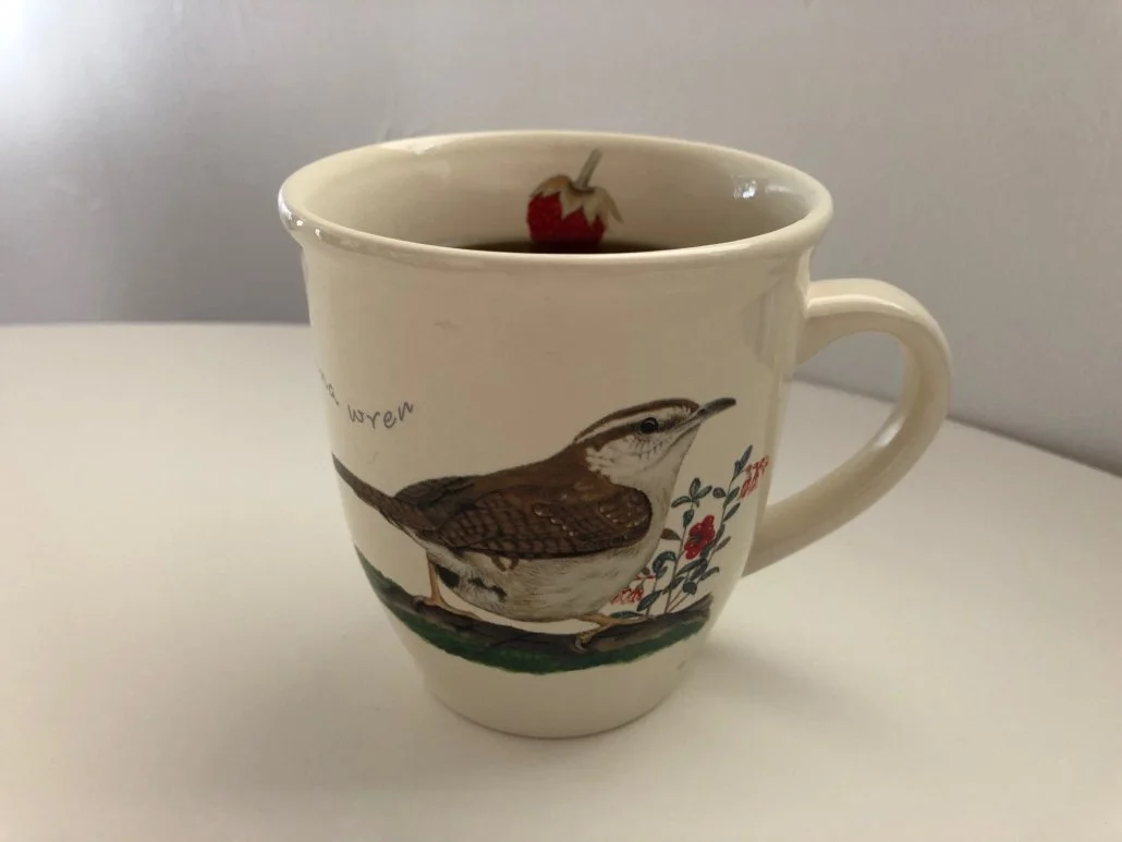 Choosing Coffee That Supports Bird Conservation