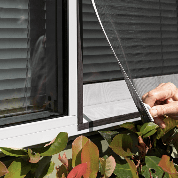 Many types of exterior insect screens can effectively prevent bird collisions.
