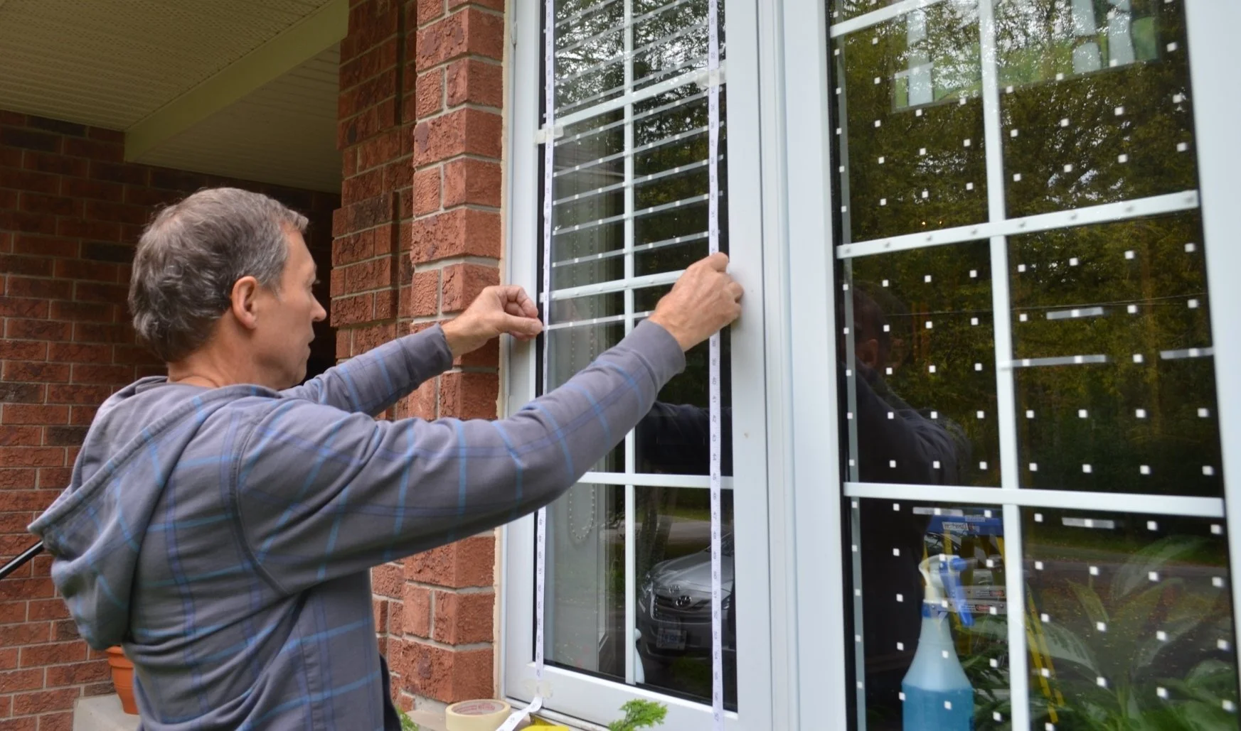 Person applying bird-safe window markers to prevent collisions, demonstrating DIY bird protection methods for homeowners