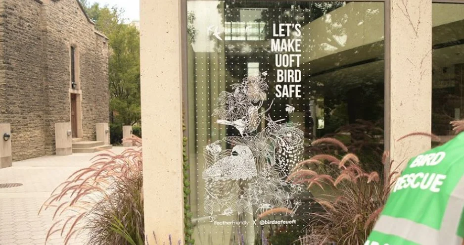 Bird safe windows shown at University of Toronto campus reading 'Let's Make UofT Bird Safe'