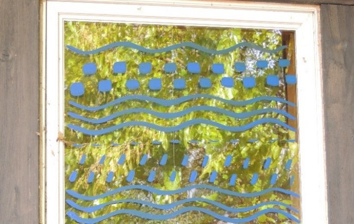 Patterns applied with blue tempera paint to exterior of house window for bird-safe collision prevention treatment