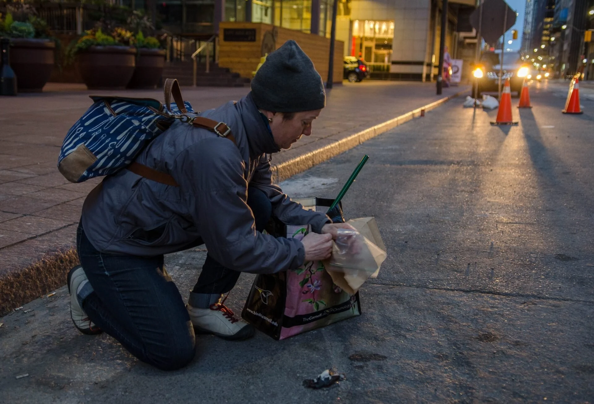 FLAP Canada volunteer patrolling city streets before dawn, bending down to photograph a bird building collision victim