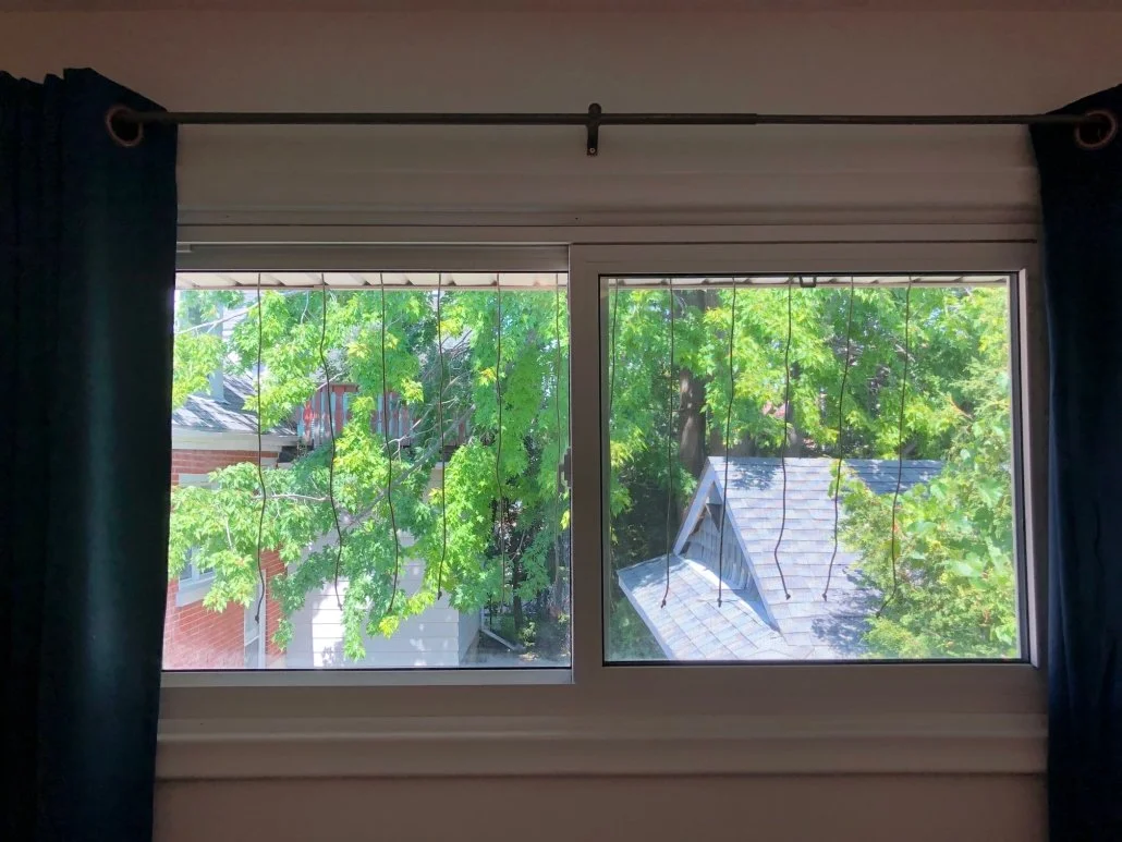 In this example, there is a small gap between the ends of the cords and the bottom of the glass.