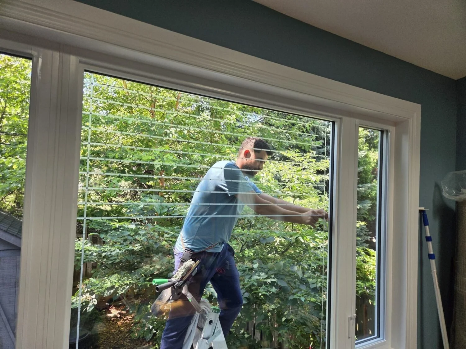 Bird safe solution being applied to windows of Toronto home