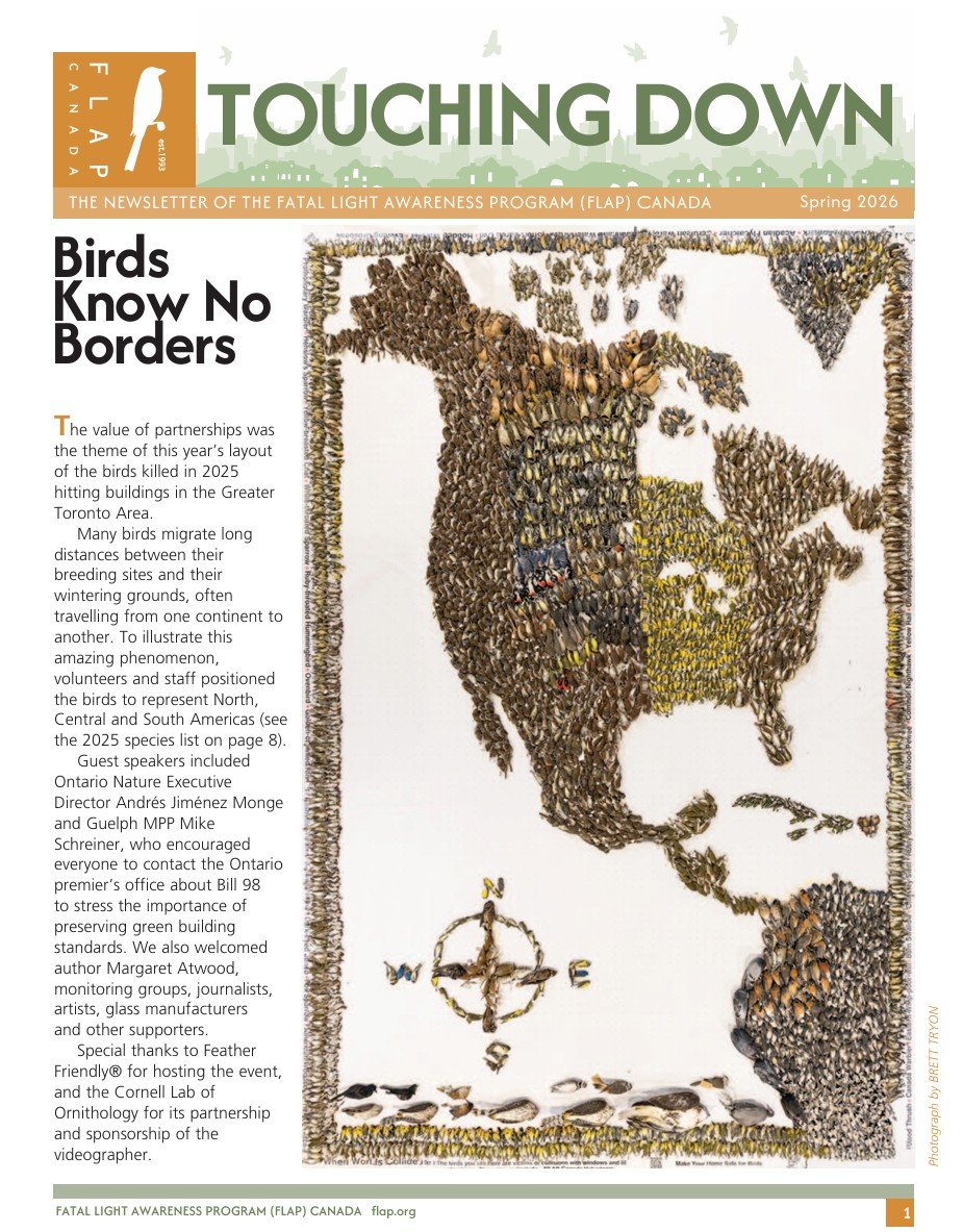 Cover image of the Spring 2026 Touching Down Issue