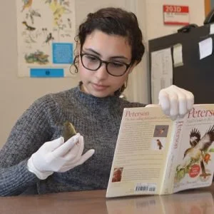 Student studying bird close up while wearing gloves and holding Peterson bird book