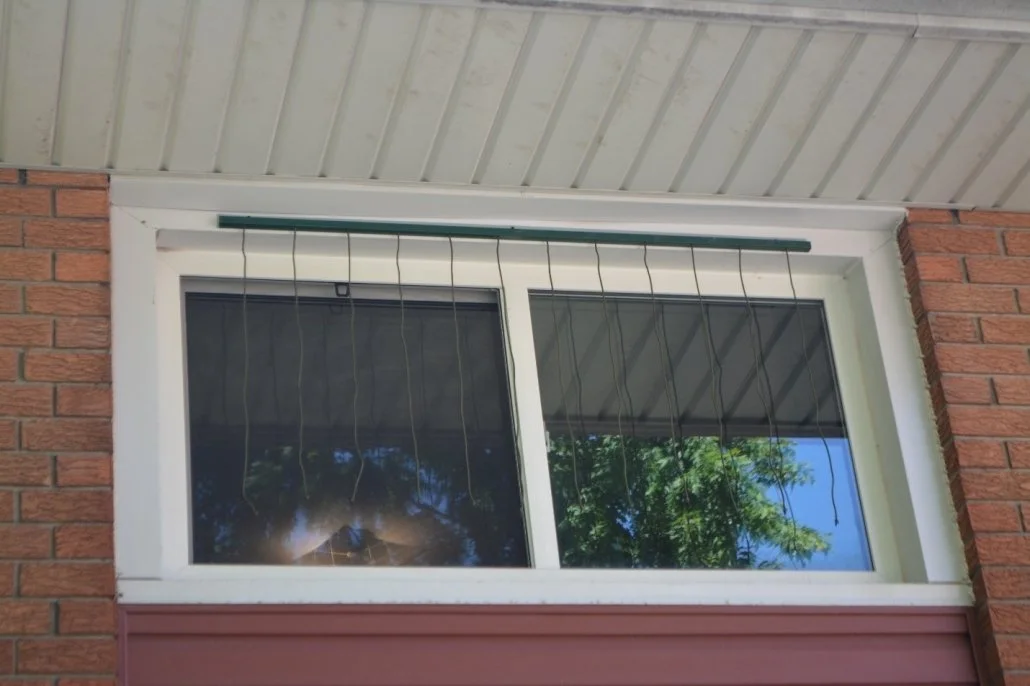Image of a do it yourself bird safe window treatment on a residential home