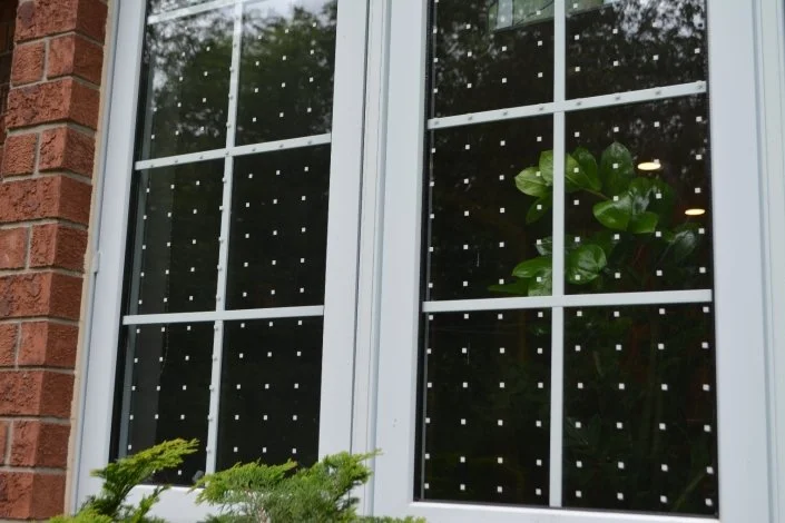 Feather-Friendly Tape applied to exterior window of home for bird-safe window treatment