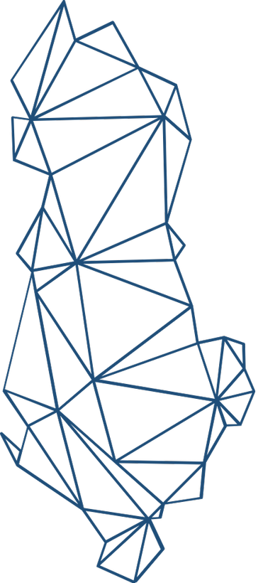 A geometric, wireframe outline of the country of Albania against a white background.