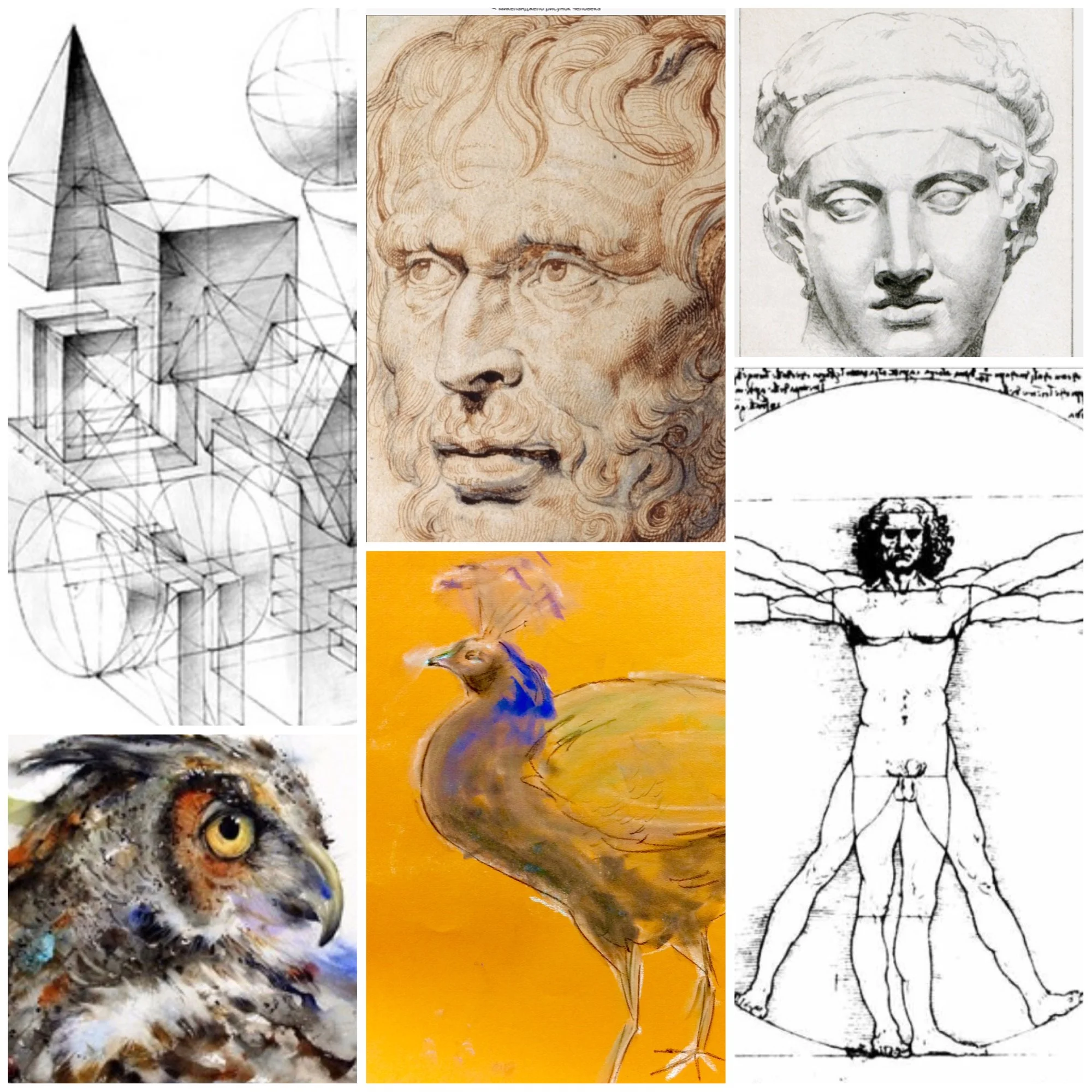 A collage of various art styles including geometric sketches, Renaissance portrait, classical sculpture, abstract animal paintings, and Leonardo da Vinci's Vitruvian Man.
Drawing & painting courses where we learn topics such as proportion, form, tone