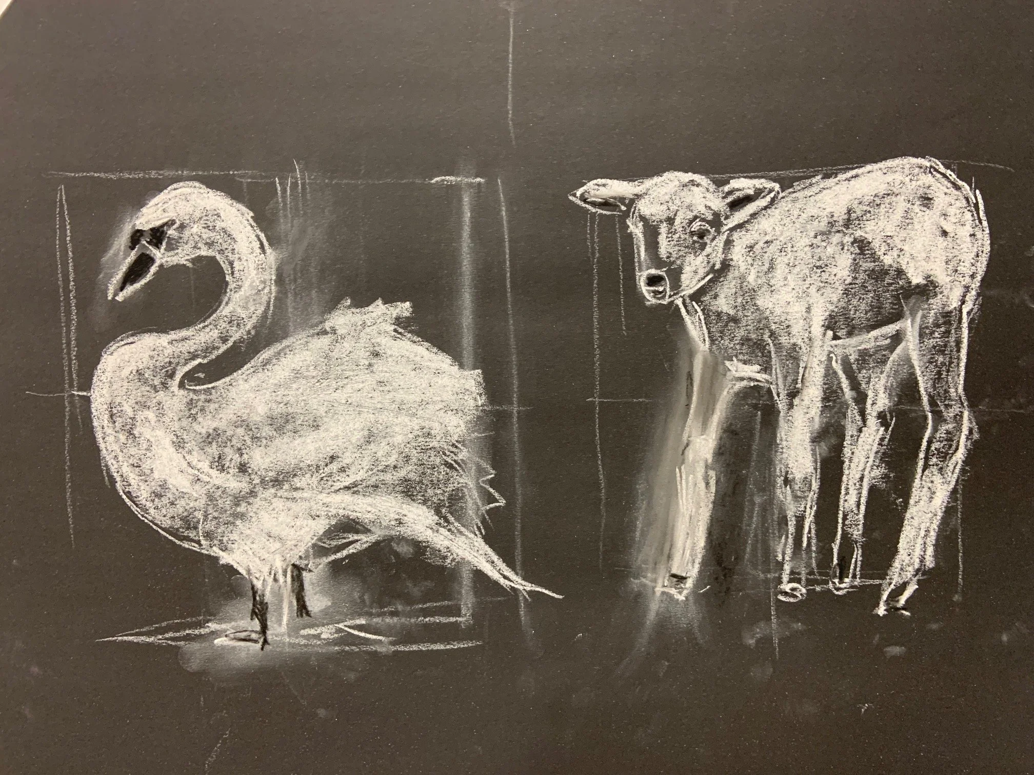 Drawing & painting courses where we learn topics such as proportion, form, tone, volume, light, and shadow. Step by step for beginners and all levels. 