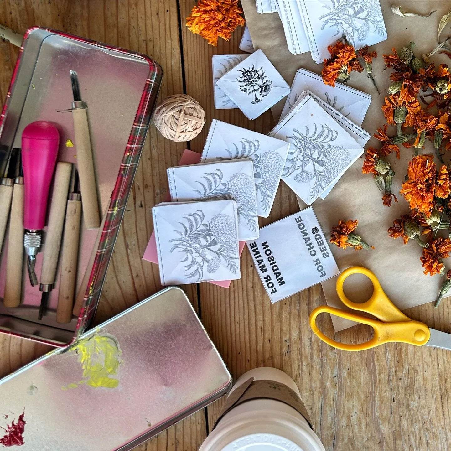 Spring is in the air!  Campaign volunteers had a lovely time this morning folding origami seed packets. Want to join us?  Send us a DM or fill out our volunteer form at MadisonForMaine.com 🌱🌻🪻