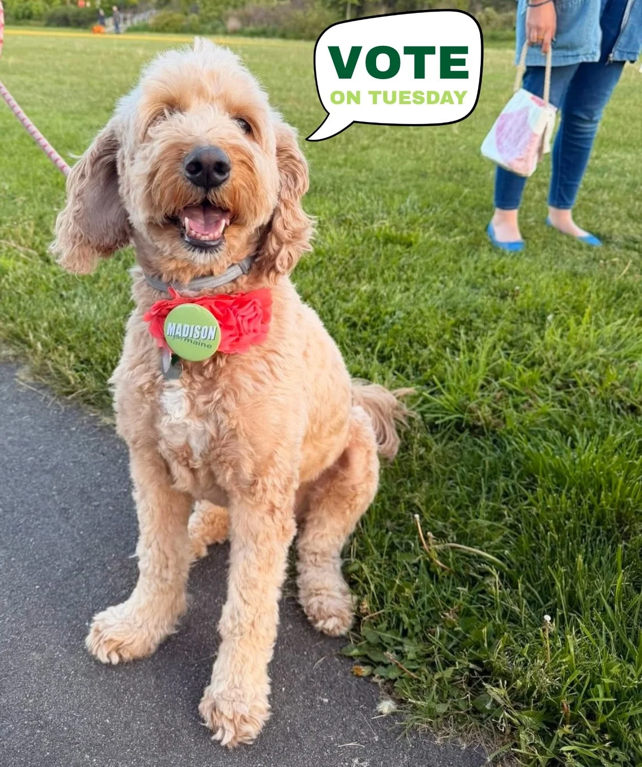 Don&rsquo;t forget to vote on Tuesday!  Make your plan now and reach out if you need a ride to the polls.