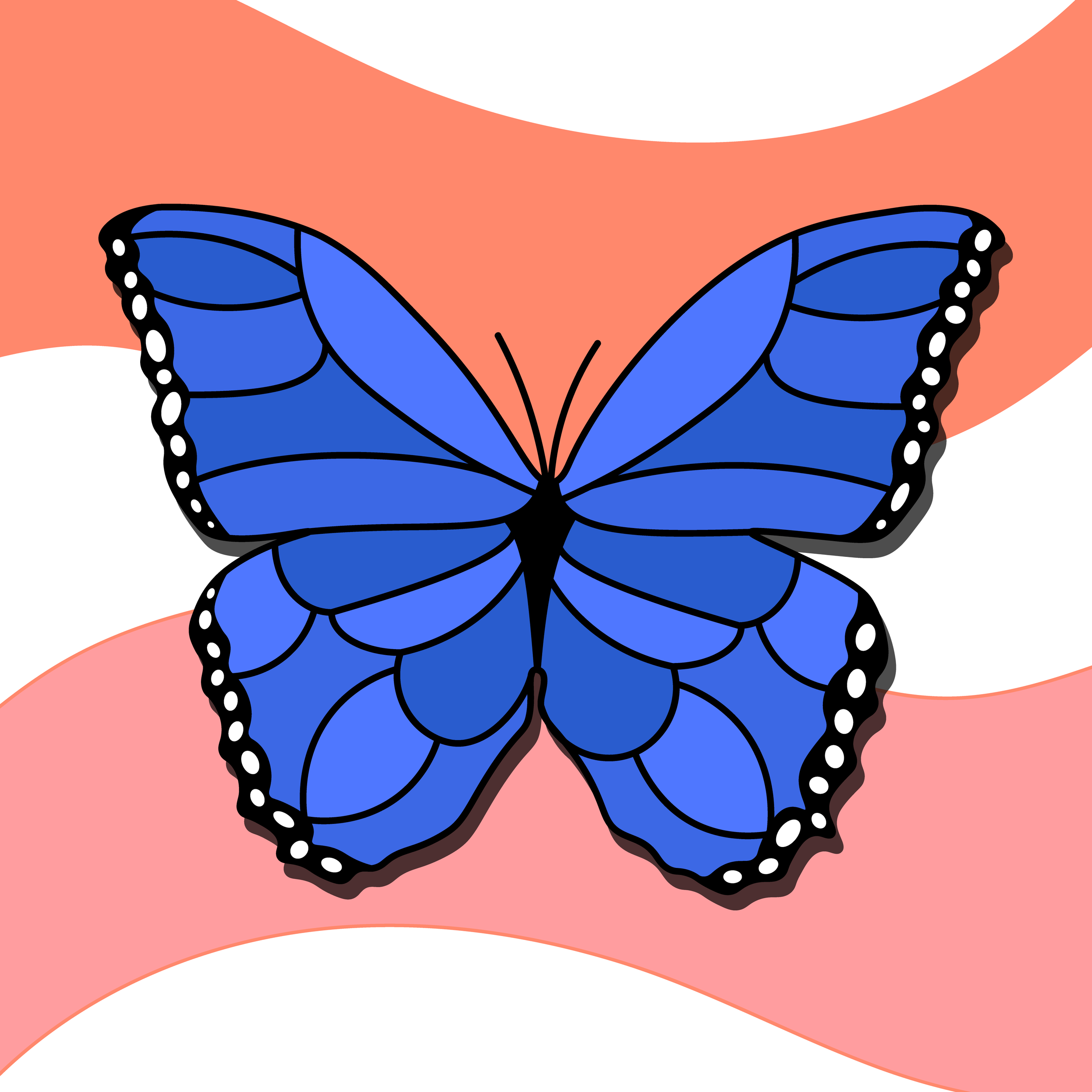 ButterflyWhite-01.png