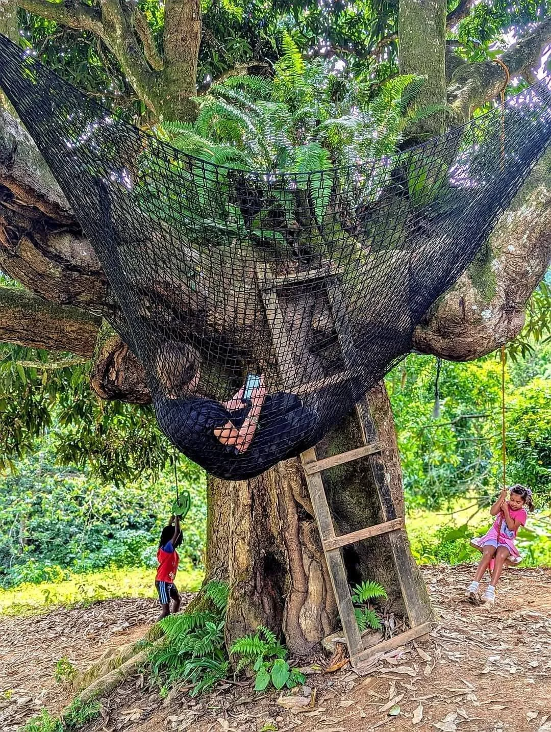 A boy is lying in a hammock netted around a large tree branch, surrounded by green foliage. A girl is sitting on the ground nearby, smiling and playing with her hair. There is a wooden ladder leaning against the tree.