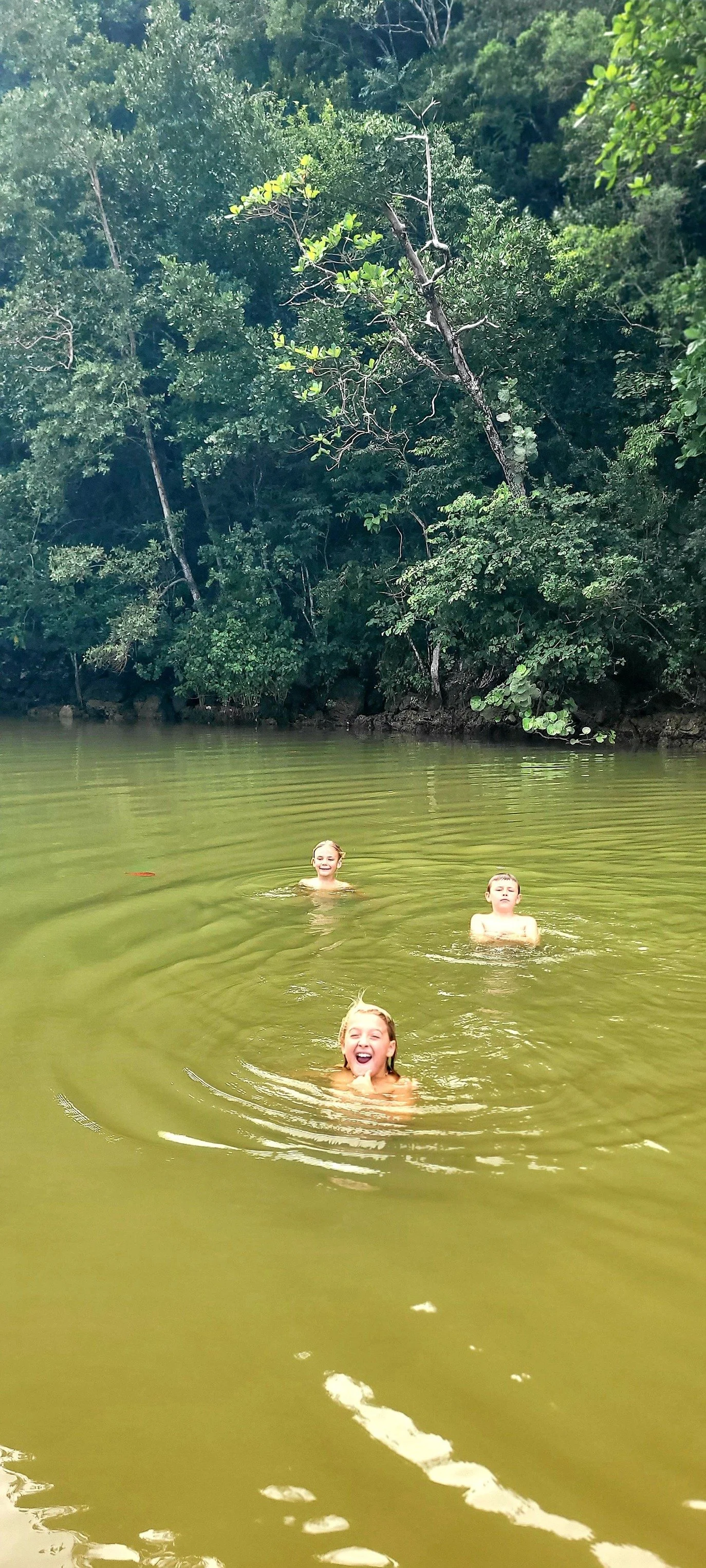 Three children swimming in a greenish river with dense trees and foliage along the riverbank.