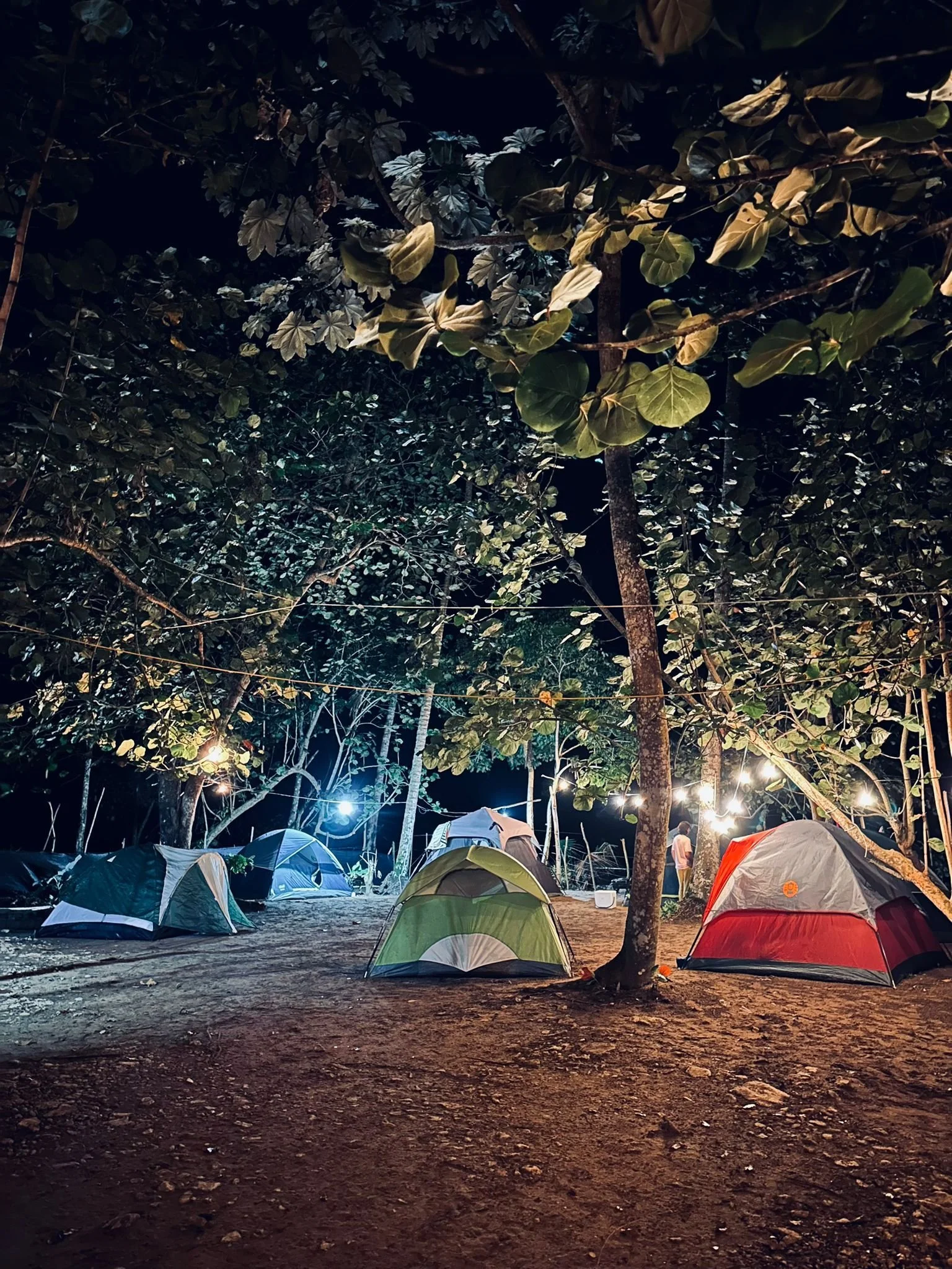 Nighttime camping scene with multiple tents set up under large trees, illuminated by string lights, with a person visible near the tents.