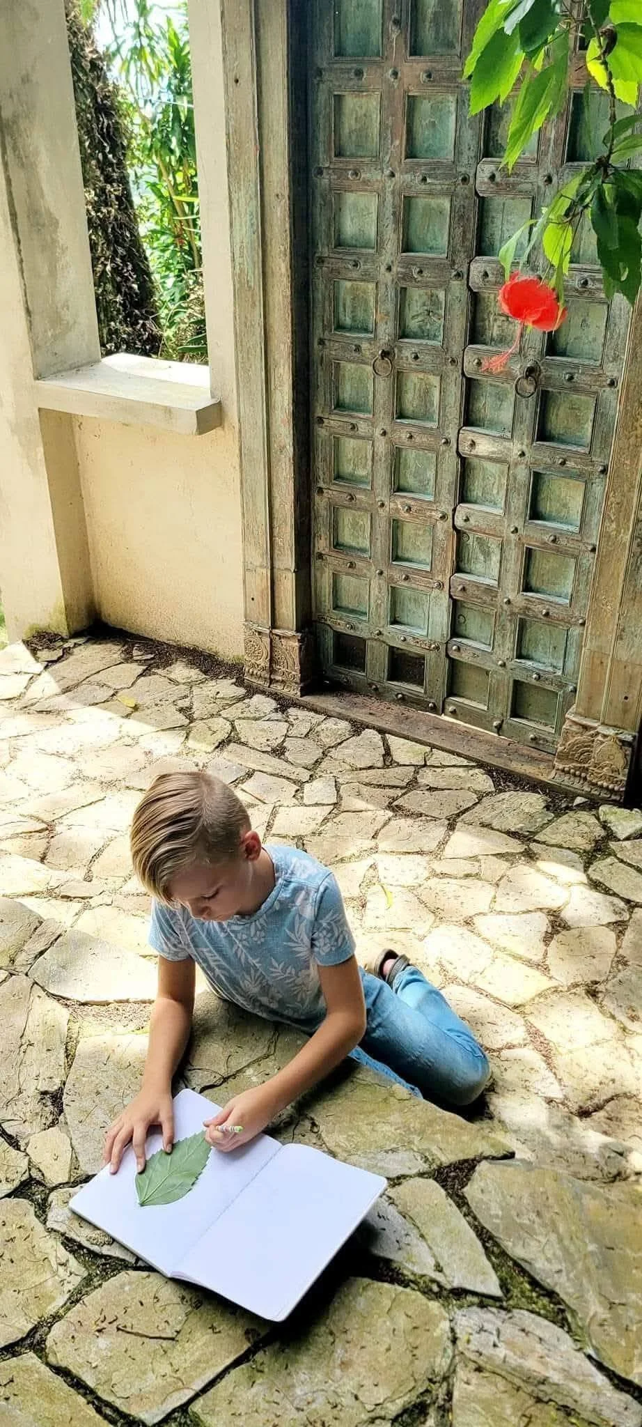 A young boy is lying on a stone patio, writing or drawing in a notebook. He is holding a green leaf and a pen. There is an old, rustic green wooden door behind him, and a window to his left with lush green plants outside. A flowering plant with a bri