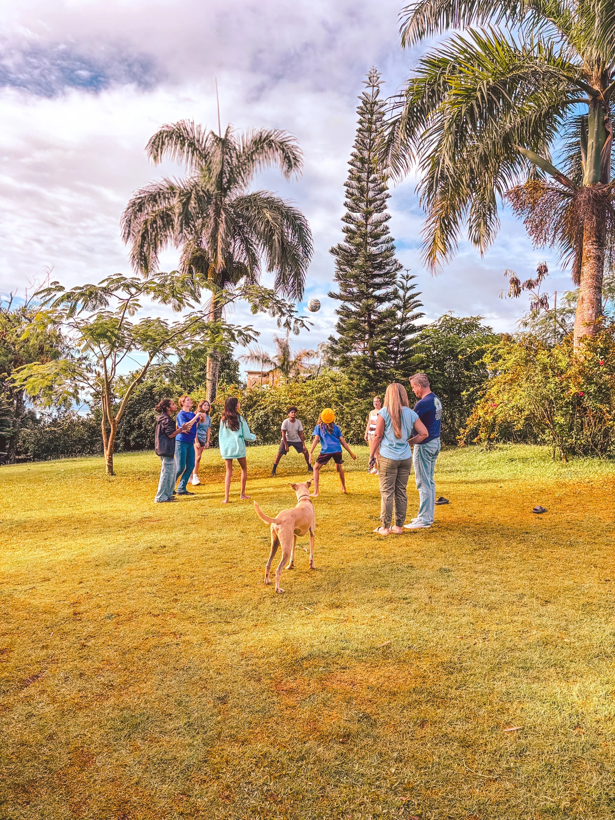 Group of people playing volleyball on a grassy area surrounded by palm trees and lush greenery.